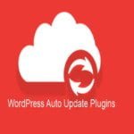 WordPress Plugin Updates