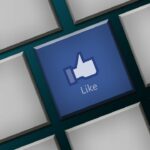 WordPress Me Facebook Like Button Add Kaise Kare
