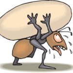 WordPress Memory Exhausted Error fix