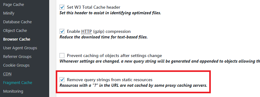 Remove Query Strings From Static Resources in WordPress Hindi