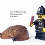 How To Noindex Tags and Categories in WordPress