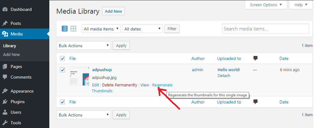 WordPress Thumbnail Regenerate Kaise Kare