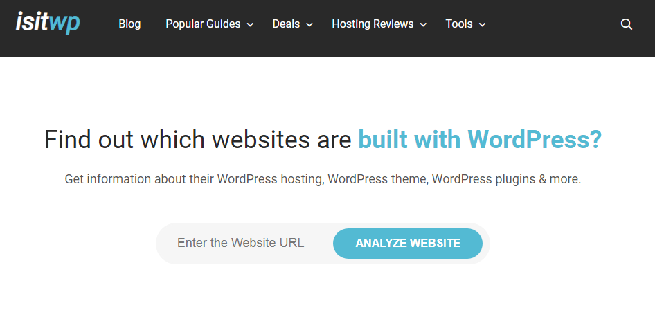 Best WordPress theme detector tools