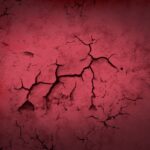 Common WordPress Errors