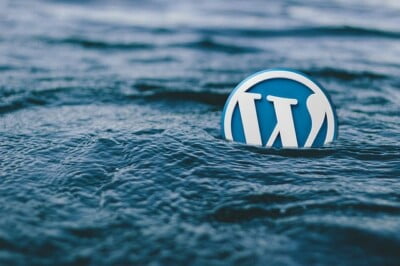 Common WordPress Mistakes