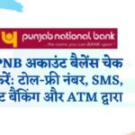 पंजाब नेशनल बैंक बैलेंस चेक